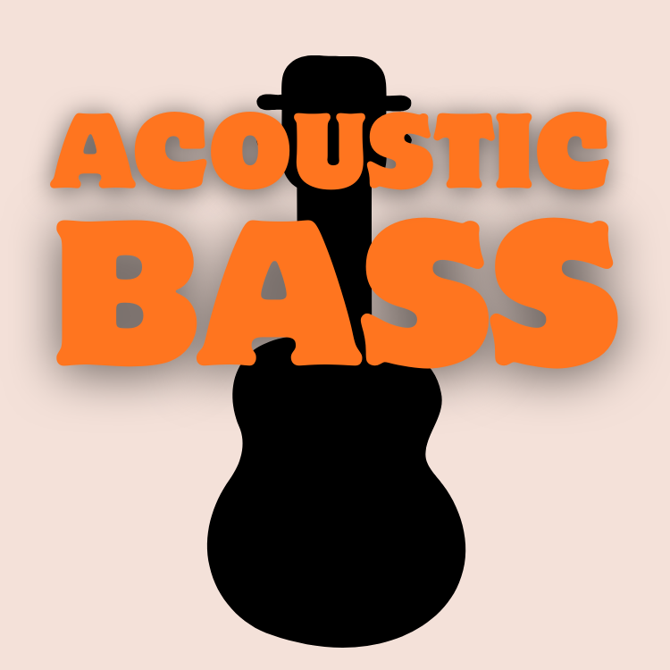 Acoustic Bass Guitars