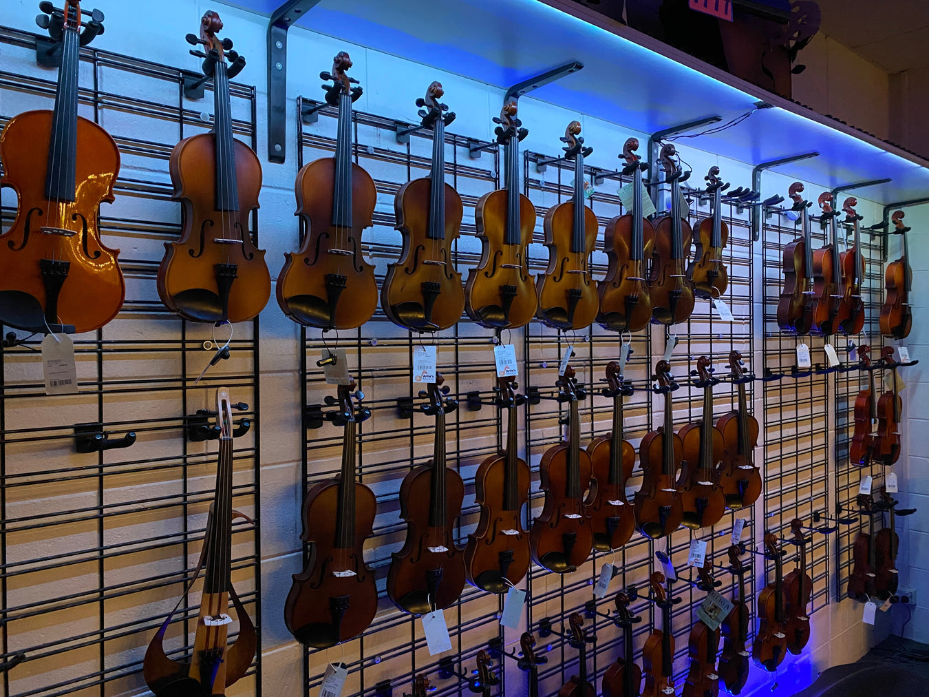 Orchestral Violins Violas Townsville