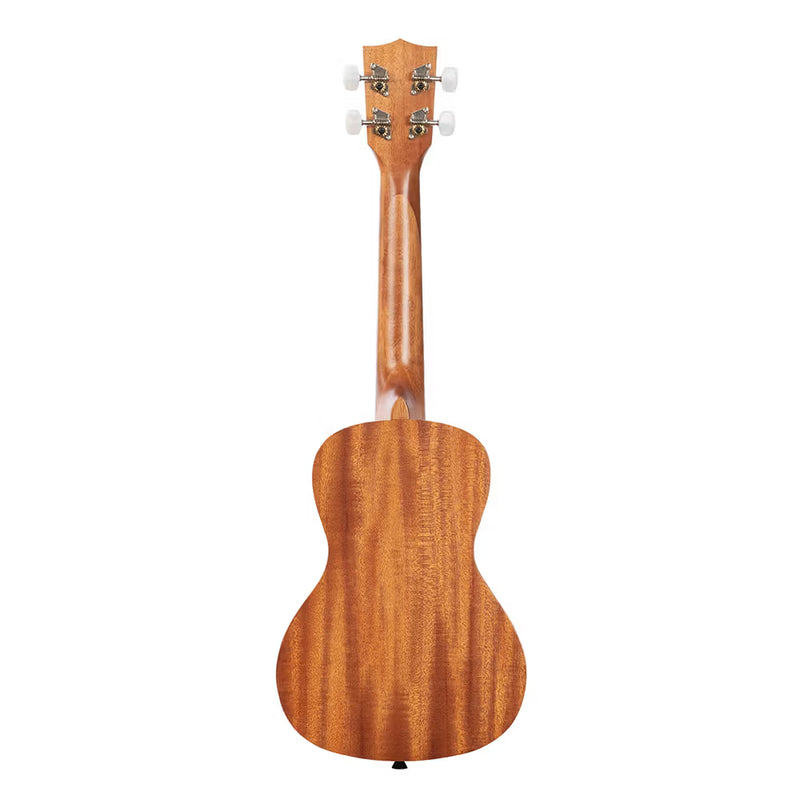 Kala Courage Concert with Gig Bag