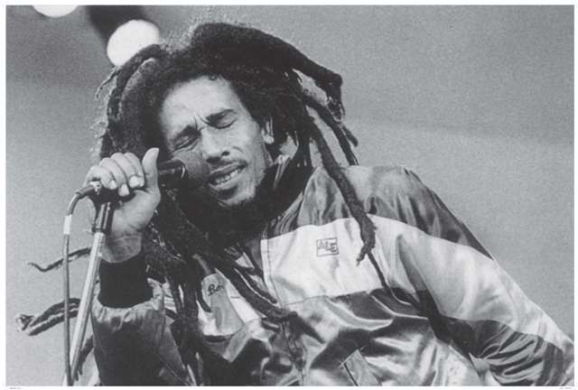 Bob Marley Dreadlocks - Poster