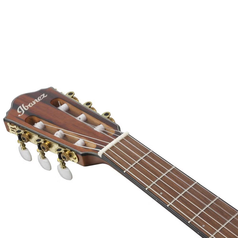 Ibanez FRH10N BSF Nylon String Guitar