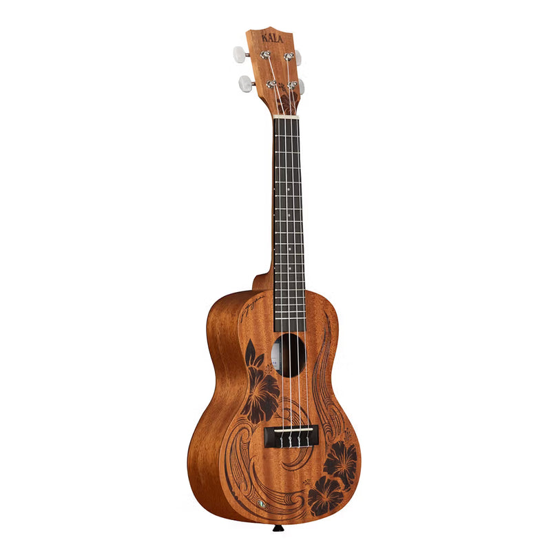 Kala Unity Concert with Gig Bag