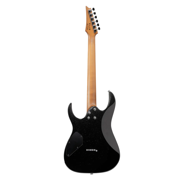 Ibanez RG121SP Electric Guitar in Black Night