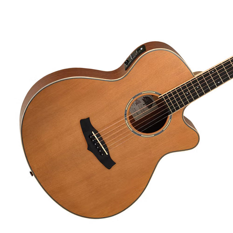 Tanglewood Winterleaf Pro Super Folk Natural Satin Finish