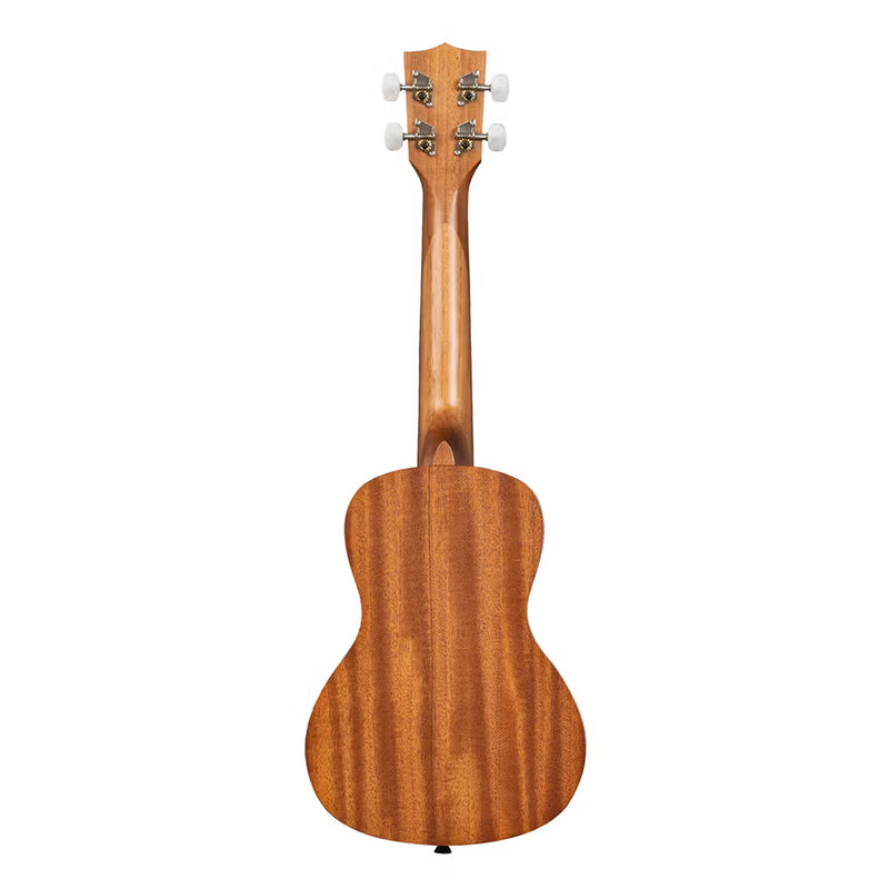 Kala Unity Concert with Gig Bag