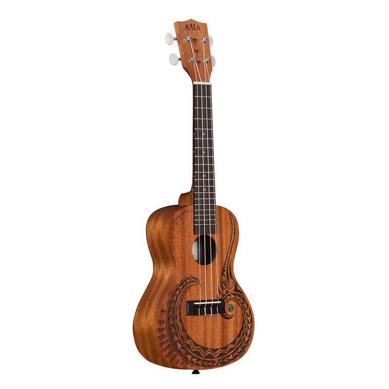 Kala Courage Concert with Gig Bag