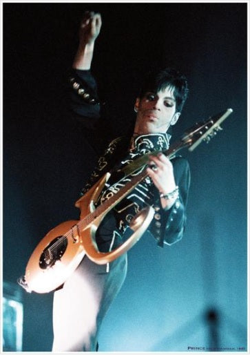 Prince Birmingham NEC 2005 - Poster