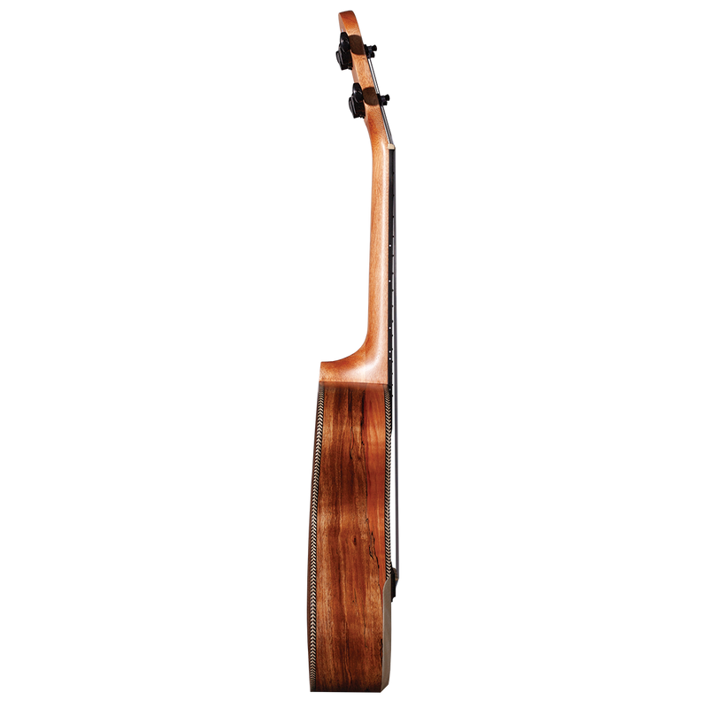 Barnes & Mullins BMUK9C Concert Spalt Maple Ukulele