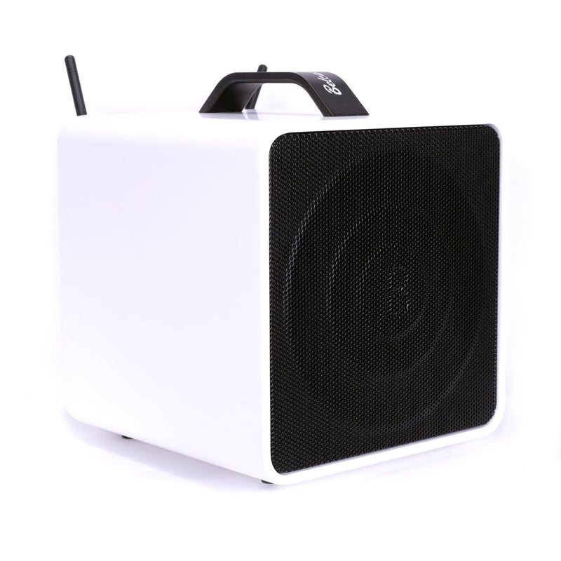 Belcat Compact 40 Watt Two-Channel Rechargeable Wireless PA System With Wireless Handheld Microphone, Carry Bag and Speaker Stand - White