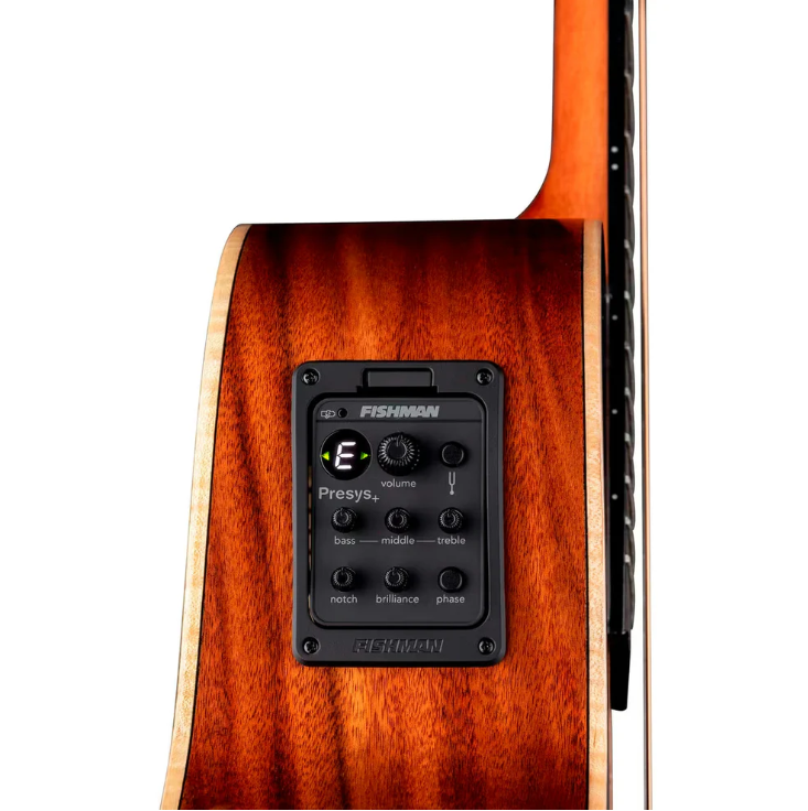 Luna Vista Wolf Acoustic Electric Guitar