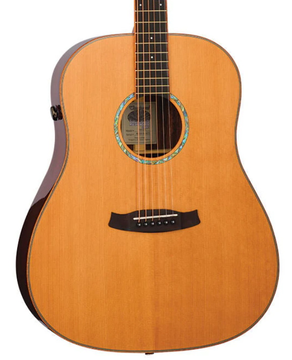 Tanglewood TRS5-SE Rosewood Smart Slope Shoulder Dreadnought Acoustic Guitar