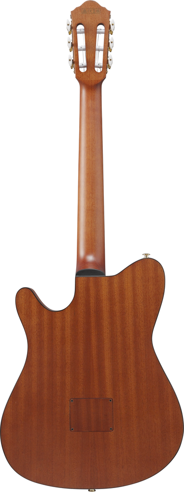 Ibanez Frh10n Rgf Nylon String Guitar With Pick Up