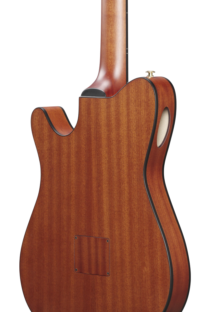 Ibanez Frh10n Rgf Nylon String Guitar With Pick Up