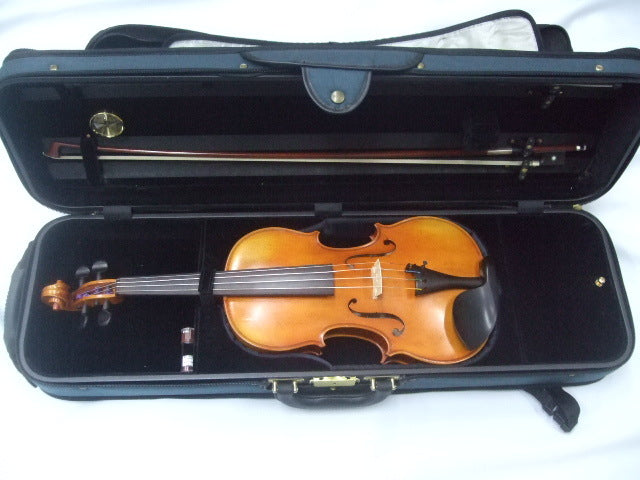 Paesold Limited Edition Mozart 4/4 Size Violin Outfit