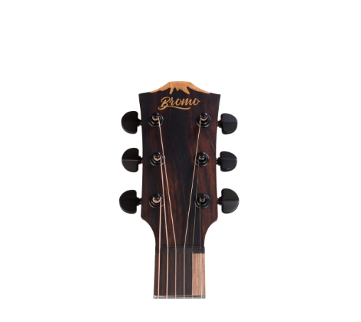 Mt. Bromo Acoustic/Electric Guitar (Solid Top)