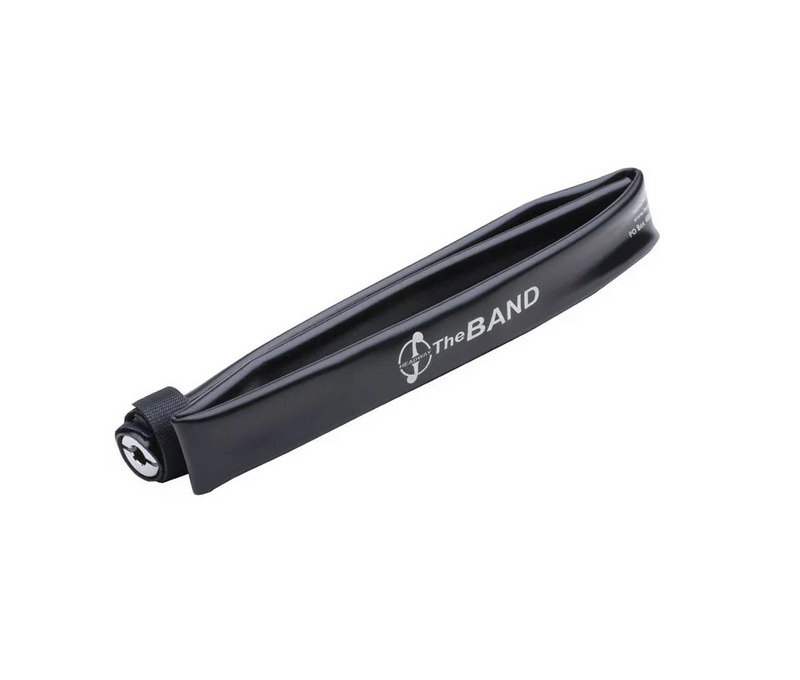 The Band2 Violin Pickup