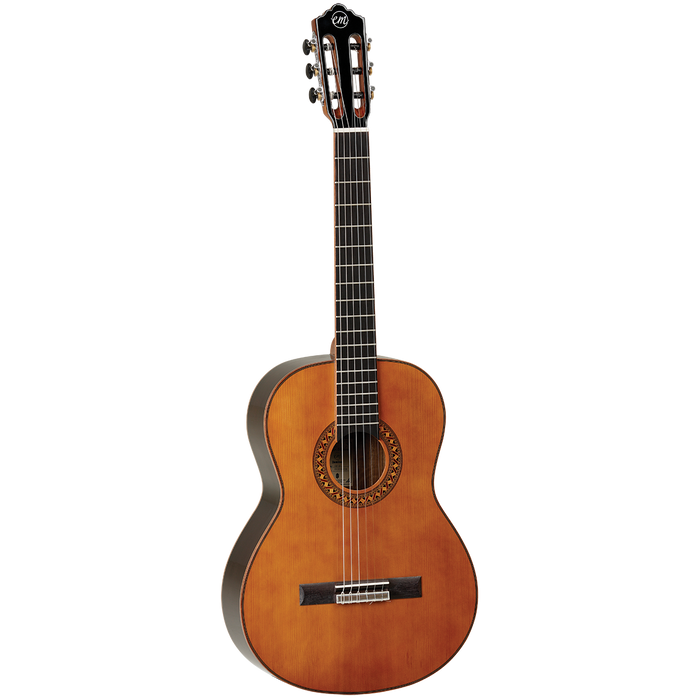 Tanglewood TWEMD3 Classical Guitar w/ Gig Bag