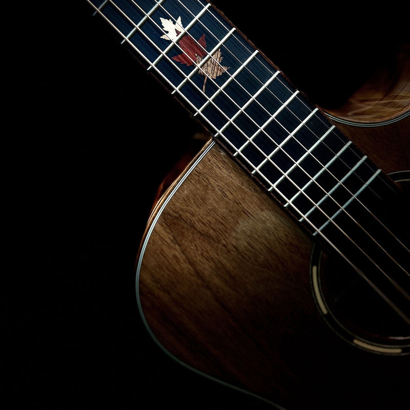 Tanglewood Winterleaf TWX6-CE-BW SuperFolk Solid Black Walnut Top w/ Pickup & Cutaway