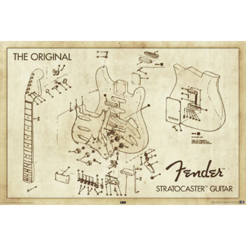 Fender Guitar Diagram - Poster