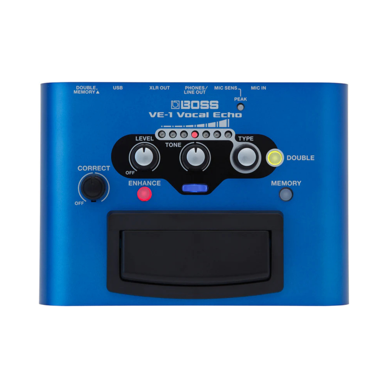 BOSS VE1 Vocal Echo Pedal