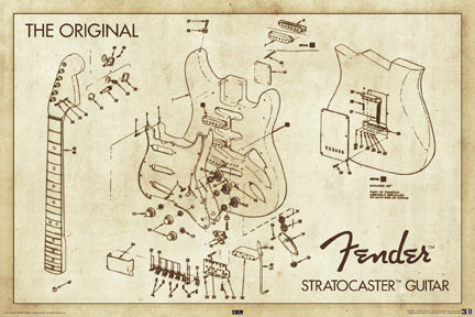 Fender Guitar Diagram - Poster
