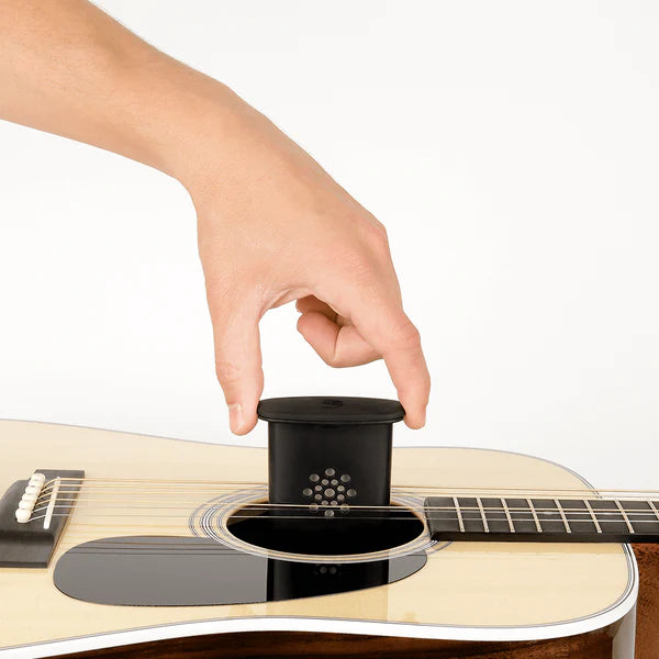 D'Addario Acoustic Guitar Humidifier
