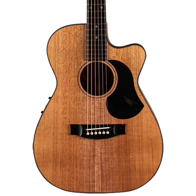 Maton EBW808C Acoustic Electric Guitar - Blackwood