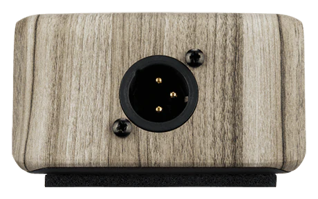 LR Baggs Align DI Acoustic Pedal