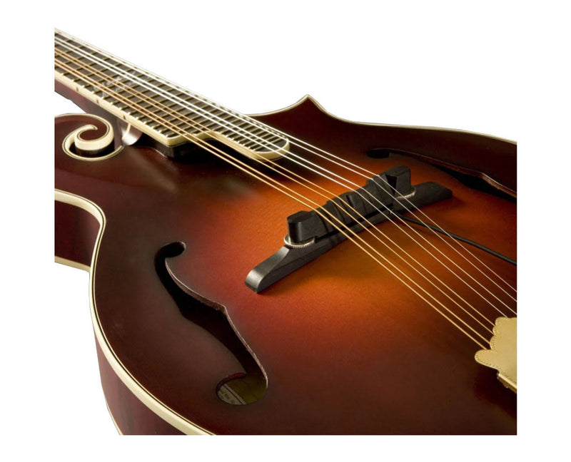 Nashville Mandolin Pick Up M-300 Archtop