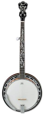 Ibanez B200 5 String Banjo