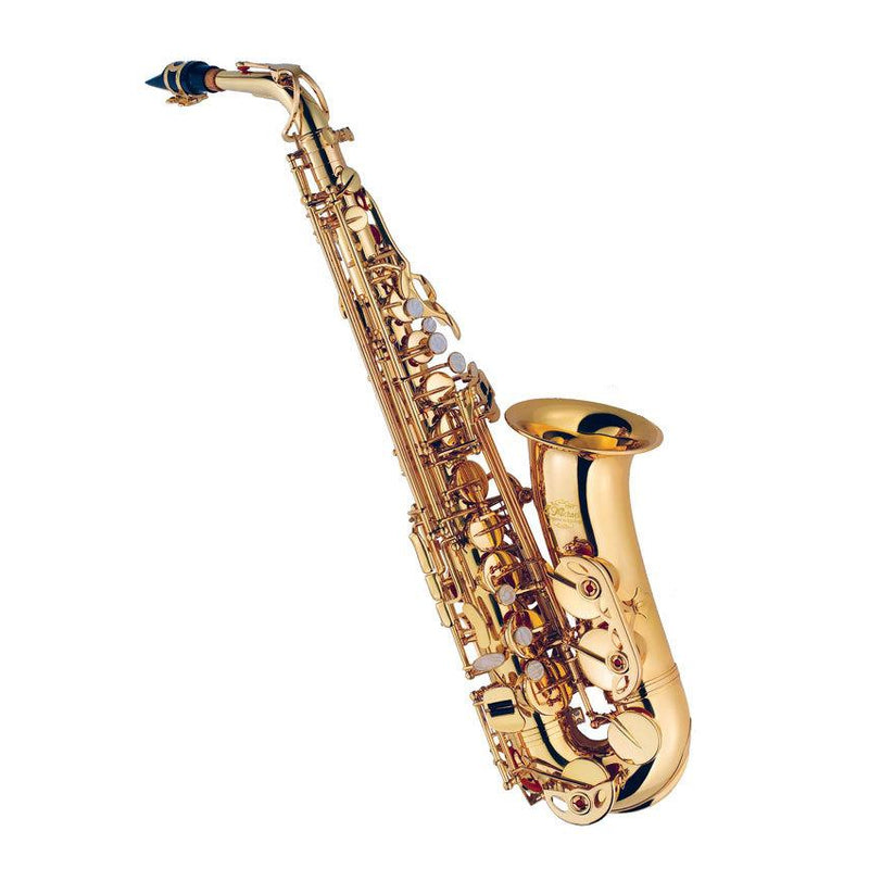 J MICHAEL ALTO SAXOPHONE CLEAR LACQUER W/ CASE - Arties Music Online