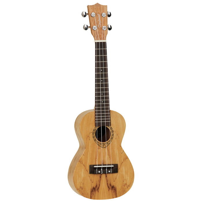 TANGLEWOOD TWT10 TIARE CONCERT UKULELE ALL SPALTED MAPLE